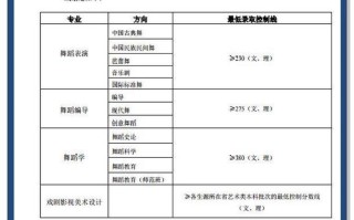 北京舞蹈学院录取看文化成绩吗？