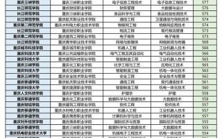 2025重庆美术联考线多少？