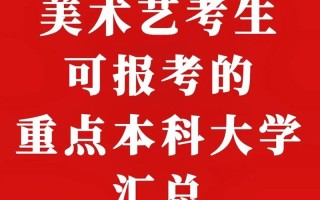 美术艺考可以考什么大学