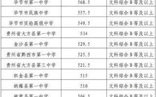 2025毕节高一联考查分何时公布？