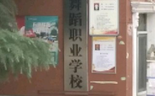 西安有哪些好的舞蹈大学？