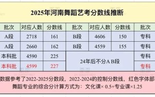 2025艺考文化分折算