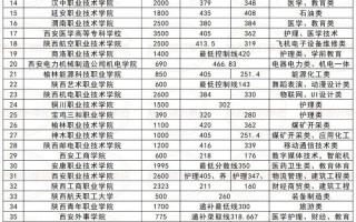 2025陕西舞蹈分数线多少？