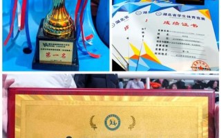 武汉体育学院的体育舞蹈怎么样？