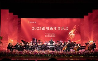 宁夏大学2025音乐类招生政策有哪些变化？