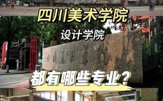 四川美院设计专业有何特色与优势？