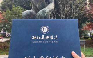 哪些大学承认湖北美术联考成绩？