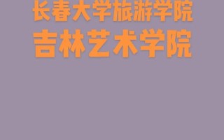 长春大学旅游学院美术分数线多少？