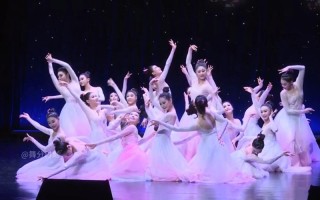 宜春学院舞蹈系2025年招生计划如何？