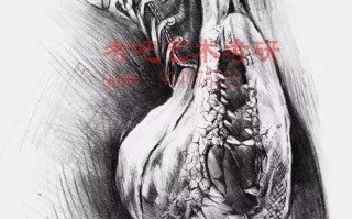 南京师范大学美术考题有何新变化？