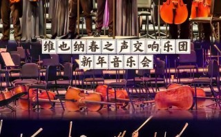 通化学院音乐类2025招生计划何时发布？