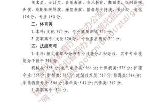 2025湖北音乐综合分