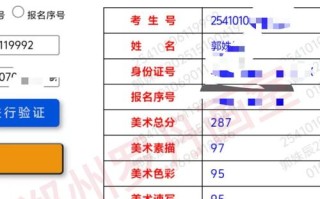 哪些学校承认河南美术联考成绩？