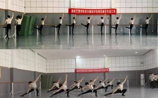 湖南科技学院有舞蹈专业吗？