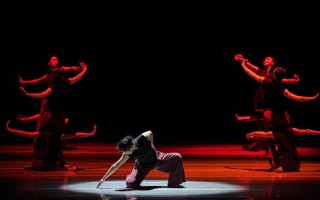 陕师大专科舞蹈专业怎么报？