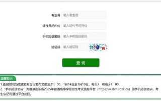 山东省联考美术分数怎么查？
