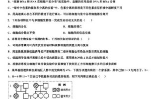 银川2025联考试卷有何变化？