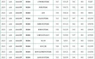 聊城大学音乐录取分数线