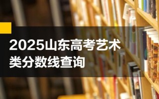 山东财经大学美术2025录取分数线多少？