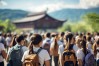 云南研学旅行活动备案，云南研学旅行政策
