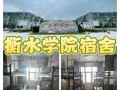 衡水学院2025音乐线多少分？