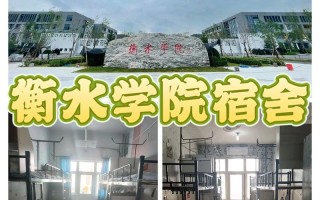 衡水学院2025音乐线多少分？