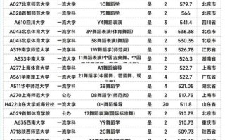 山东省舞蹈生联考没过线