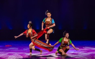 广西大专舞蹈学校有哪些？