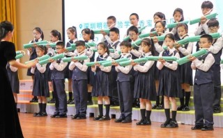 深圳哪些学校有音乐表演