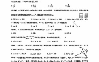 2025年8月稽阳联考