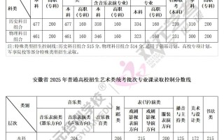 2025安徽艺考综合分怎么算？
