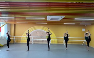 巢湖舞蹈艺考难度如何？通过率高吗？