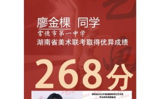 湖南省美术联考总分多少？