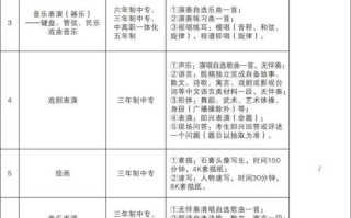 湖南音乐学院招生条件有哪些具体要求？