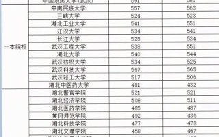 2025湖北艺考本科线是多少？
