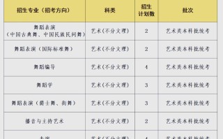 2025音乐类学校招生