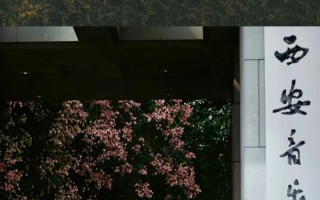 浙传与西音，艺术教育各有何特色？