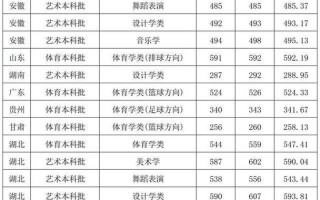 湖北文理舞蹈专业分数线多少？