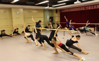 廊坊师范学院舞蹈分数线多少？