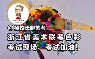 浙江美术联考复查有用吗