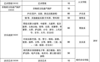 西安音乐代码及专业代码是什么？