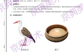 2025初中美术考点有哪些？