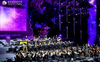 2025成高 音乐表演