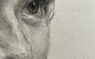 美术高考素描高分技巧有哪些？