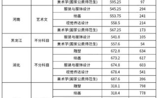 哪些211大学设有美术专业？