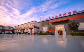 哪些学校承认辽宁舞蹈联考成绩？