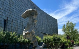 央美国美，谁是中国美术教育的巅峰？