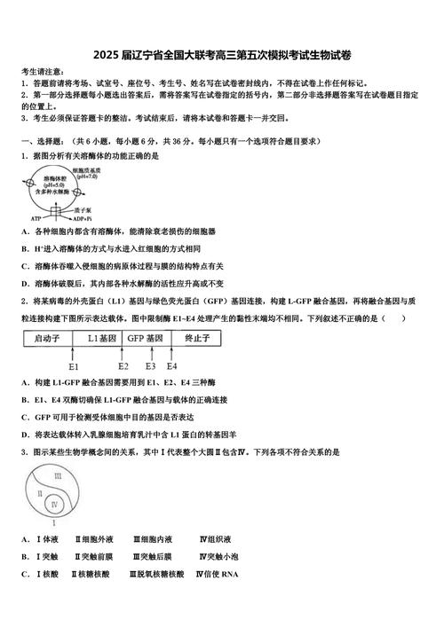 全国大联考2025届高三第五次联考有何新变化?-第1张图片-泰美艺术培训 全国大联考2025届高三第五次联考有何新变化?-第1张图片-泰美艺术培训