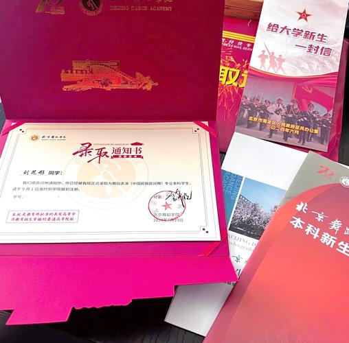 2025北舞MFA招生有何新变化与备考要点？-第3张图片-泰美艺术培训