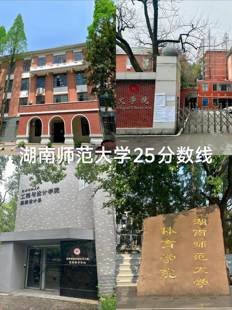 湖南师范大学2025美术录取分数线多少？-第3张图片-泰美艺术培训